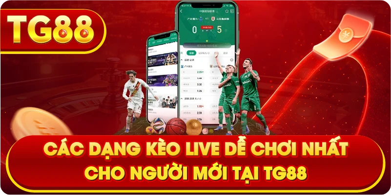 Các dạng kèo live dễ chơi nhất cho người mới tại TG88