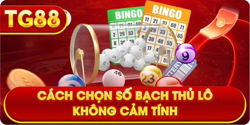 Cách chọn số Bạch Thủ Lô không cảm tính