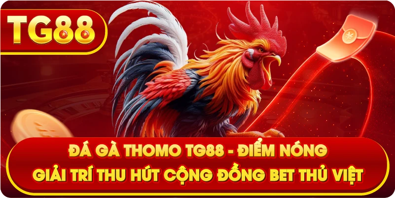 Đá Gà Thomo TG88 – Điểm Nóng Giải Trí Thu Hút Cộng Đồng Bet Thủ Việt