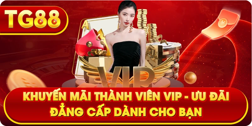 Khuyến mãi thành viên VIP – Ưu đãi đẳng cấp dành cho bạn