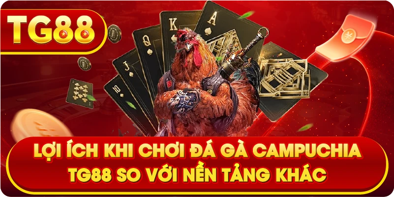 Lợi ích khi chơi đá gà Campuchia TG88 so với nền tảng khác
