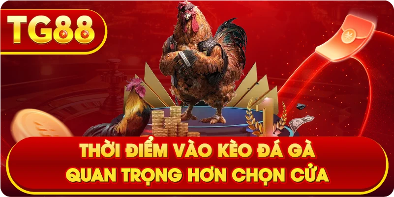 Thời điểm vào Kèo Đá Gà quan trọng hơn chọn cửa