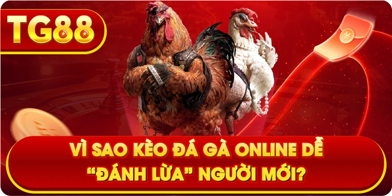 Vì sao kèo đá gà online dễ “đánh lừa” người mới?
